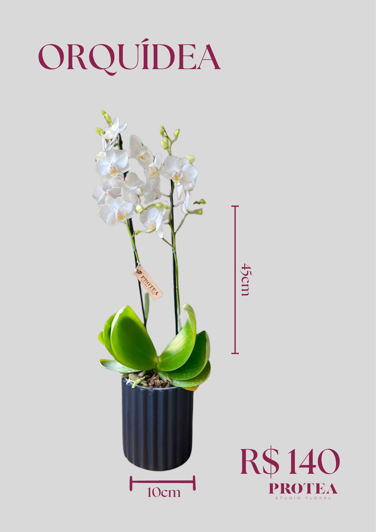 Orquídea Branca